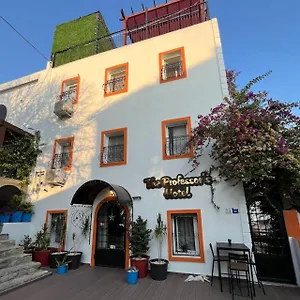 The Professor's Otel